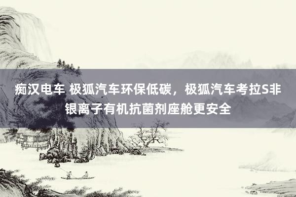 痴汉电车 极狐汽车环保低碳，极狐汽车考拉S非银离子有机抗菌剂座舱更安全