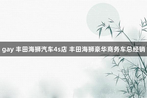 gay 丰田海狮汽车4s店 丰田海狮豪华商务车总经销