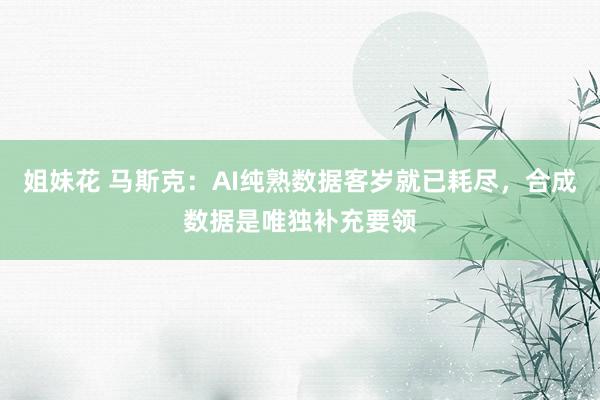 姐妹花 马斯克：AI纯熟数据客岁就已耗尽，合成数据是唯独补充要领