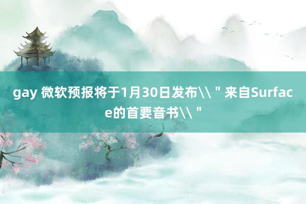 gay 微软预报将于1月30日发布\＂来自Surface的首要音书\＂