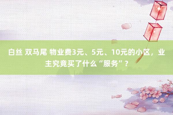 白丝 双马尾 物业费3元、5元、10元的小区，业主究竟买了什么“服务”？