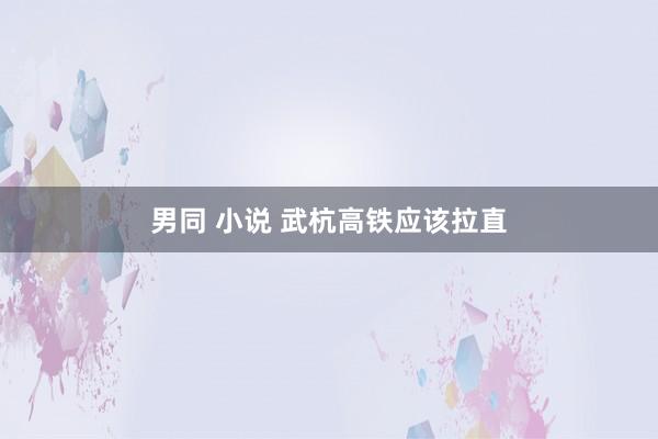 男同 小说 武杭高铁应该拉直
