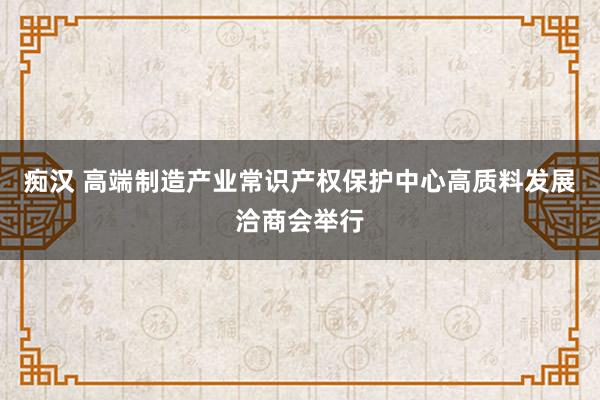 痴汉 高端制造产业常识产权保护中心高质料发展洽商会举行