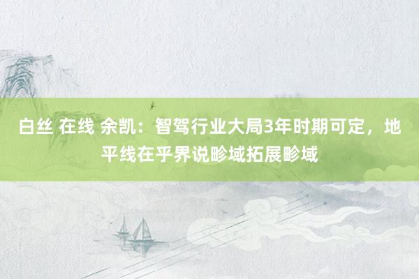 白丝 在线 余凯：智驾行业大局3年时期可定，地平线在乎界说畛域拓展畛域