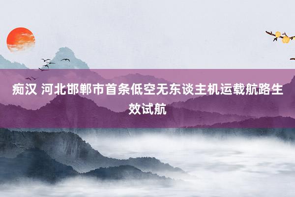 痴汉 河北邯郸市首条低空无东谈主机运载航路生效试航