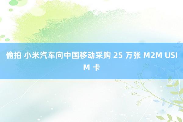 偷拍 小米汽车向中国移动采购 25 万张 M2M USIM 卡