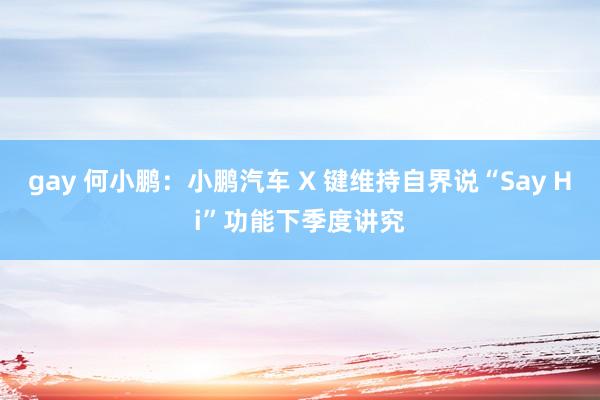 gay 何小鹏：小鹏汽车 X 键维持自界说“Say Hi”功能下季度讲究