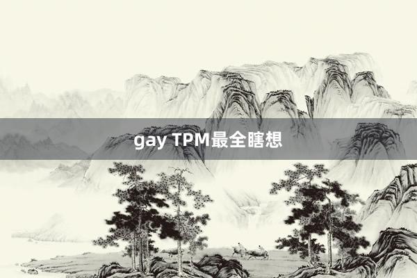 gay TPM最全瞎想