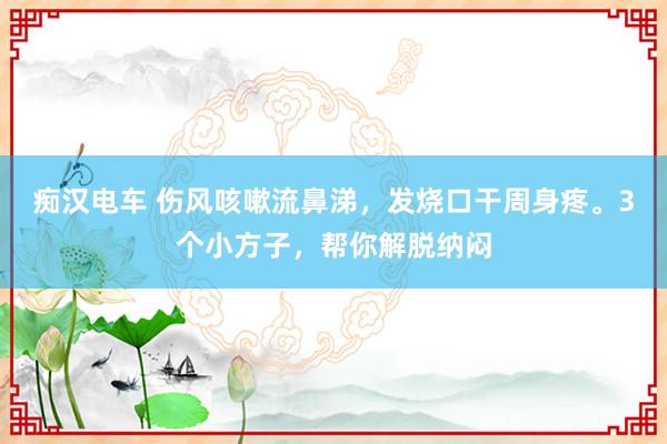 痴汉电车 伤风咳嗽流鼻涕，发烧口干周身疼。3个小方子，帮你解脱纳闷
