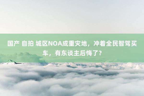国产 自拍 城区NOA成重灾地，冲着全民智驾买车，有东谈主后悔了？