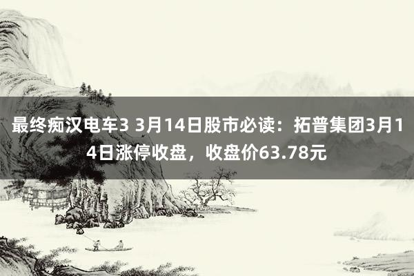 最终痴汉电车3 3月14日股市必读：拓普集团3月14日涨停收盘，收盘价63.78元