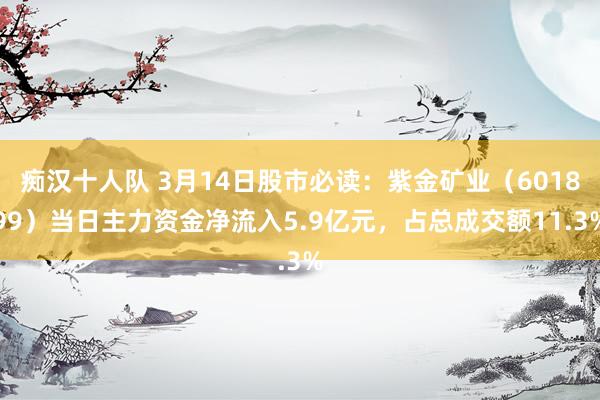 痴汉十人队 3月14日股市必读：紫金矿业（601899）当日主力资金净流入5.9亿元，占总成交额11.3%