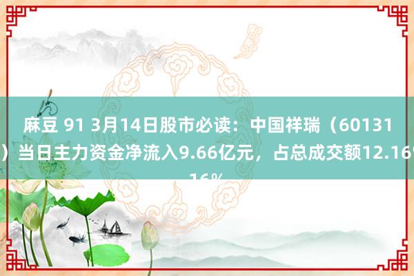 麻豆 91 3月14日股市必读：中国祥瑞（601318）当日主力资金净流入9.66亿元，占总成交额12.16%