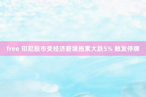 free 印尼股市受经济窘境拖累大跌5% 触发停牌