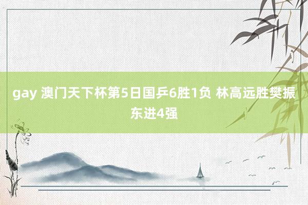 gay 澳门天下杯第5日国乒6胜1负 林高远胜樊振东进4强