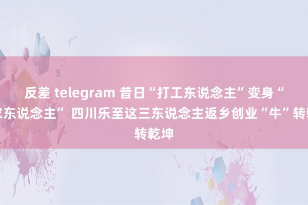 反差 telegram 昔日“打工东说念主”变身“新农东说念主” 四川乐至这三东说念主返乡创业“牛”转乾坤