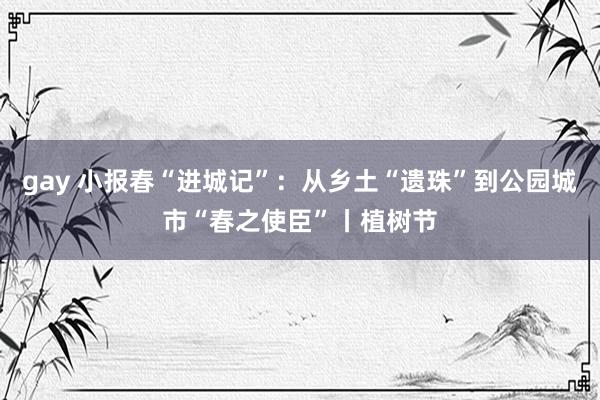 gay 小报春“进城记”：从乡土“遗珠”到公园城市“春之使臣”丨植树节