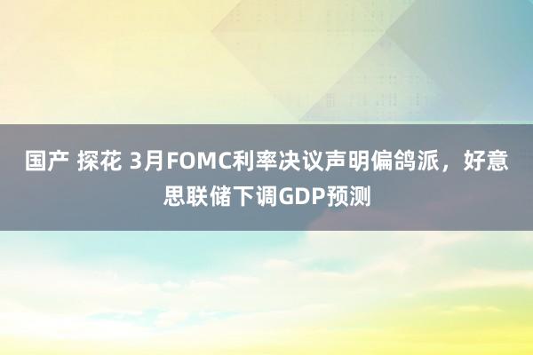 国产 探花 3月FOMC利率决议声明偏鸽派，好意思联储下调GDP预测