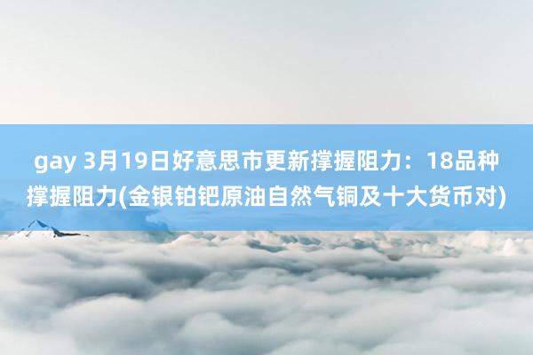 gay 3月19日好意思市更新撑握阻力：18品种撑握阻力(金银铂钯原油自然气铜及十大货币对)