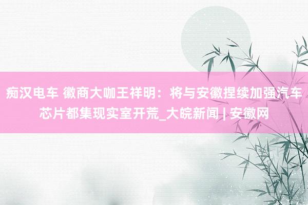 痴汉电车 徽商大咖王祥明：将与安徽捏续加强汽车芯片都集现实室开荒_大皖新闻 | 安徽网