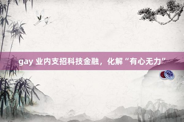 gay 业内支招科技金融，化解“有心无力”