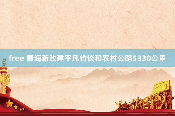 free 青海新改建平凡省谈和农村公路5330公里