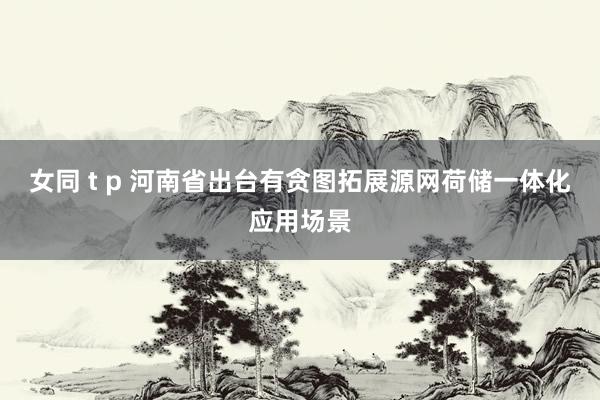 女同 t p 河南省出台有贪图拓展源网荷储一体化应用场景