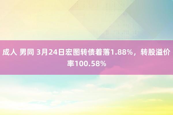 成人 男同 3月24日宏图转债着落1.88%，转股溢价率100.58%