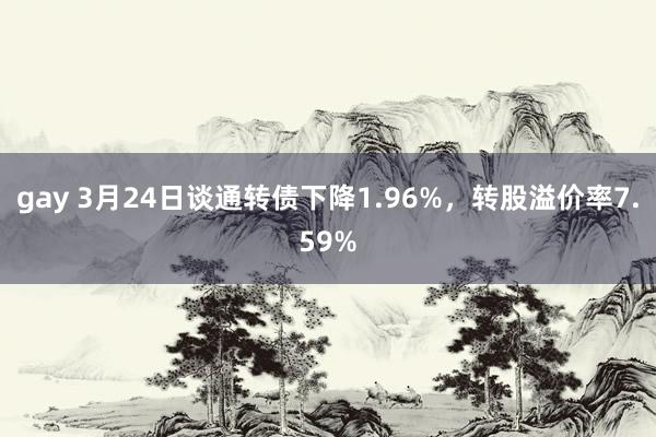 gay 3月24日谈通转债下降1.96%，转股溢价率7.59%