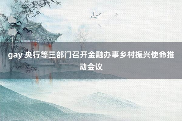 gay 央行等三部门召开金融办事乡村振兴使命推动会议