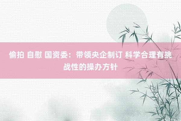 偷拍 自慰 国资委：带领央企制订 科学合理有挑战性的操办方针