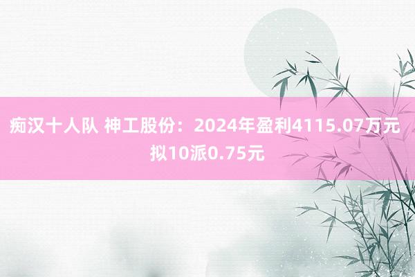 痴汉十人队 神工股份：2024年盈利4115.07万元 拟10派0.75元