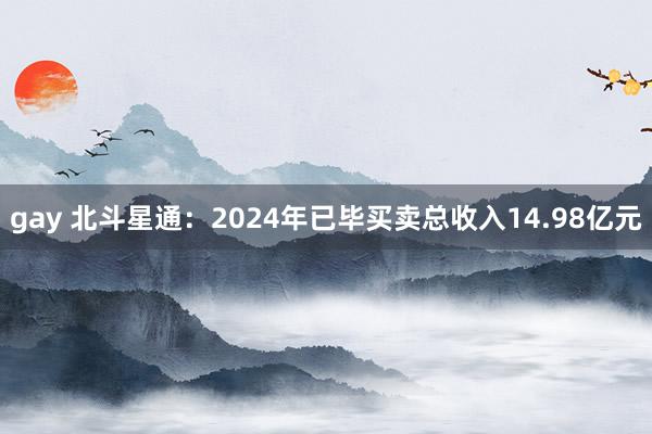 gay 北斗星通：2024年已毕买卖总收入14.98亿元