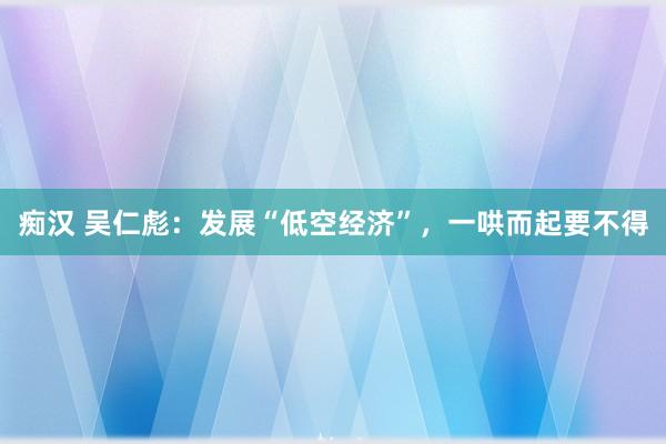 痴汉 吴仁彪：发展“低空经济”，一哄而起要不得