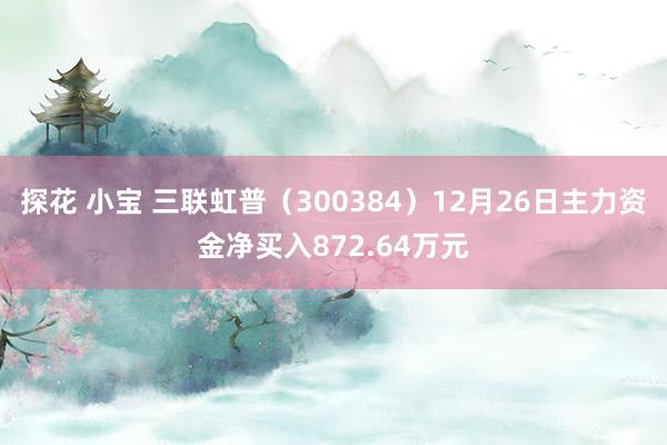 探花 小宝 三联虹普（300384）12月26日主力资金净买入872.64万元