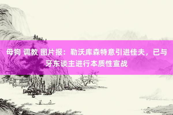 母狗 调教 图片报：勒沃库森特意引进佳夫，已与牙东谈主进行本质性宣战