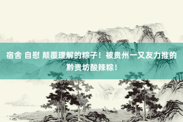 宿舍 自慰 颠覆理解的粽子！被贵州一又友力推的黔贵坊酸辣粽！