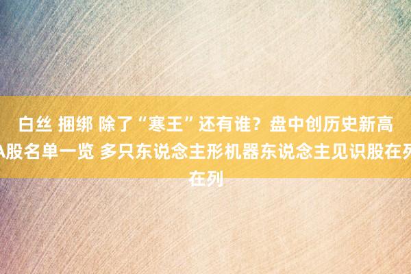 白丝 捆绑 除了“寒王”还有谁？盘中创历史新高A股名单一览 多只东说念主形机器东说念主见识股在列