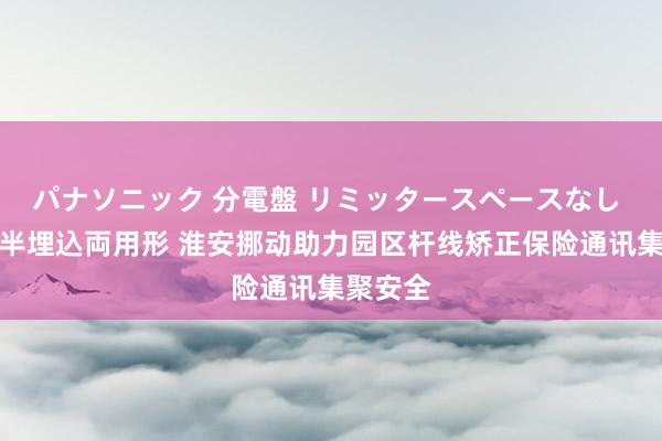 パナソニック 分電盤 リミッタースペースなし 露出・半埋込両用形 淮安挪动助力园区杆线矫正保险通讯集聚安全
