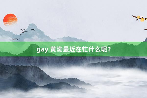 gay 黄渤最近在忙什么呢？