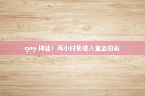 gay 神速！两小时侦破入室盗窃案