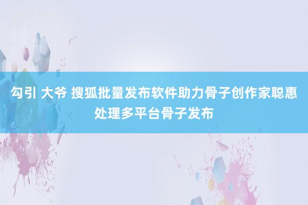 勾引 大爷 搜狐批量发布软件助力骨子创作家聪惠处理多平台骨子发布