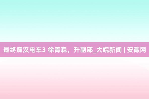 最终痴汉电车3 徐青森，升副部_大皖新闻 | 安徽网