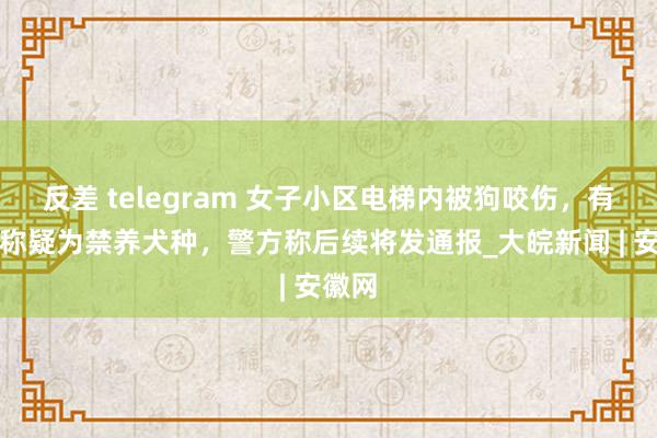 反差 telegram 女子小区电梯内被狗咬伤，有业主称疑为禁养犬种，警方称后续将发通报_大皖新闻 | 安徽网