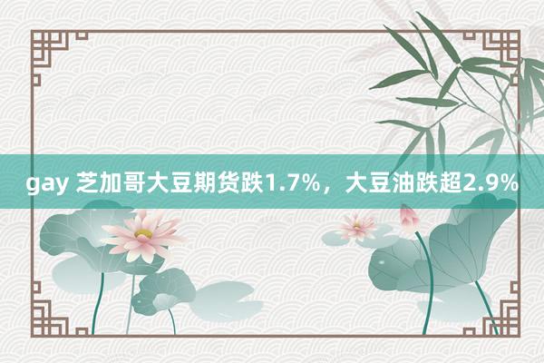 gay 芝加哥大豆期货跌1.7%,大豆油跌超2.9%