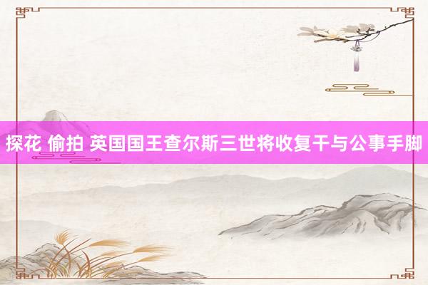 探花 偷拍 英国国王查尔斯三世将收复干与公事手脚