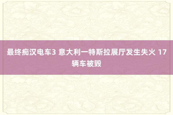 最终痴汉电车3 意大利一特斯拉展厅发生失火 17辆车被毁