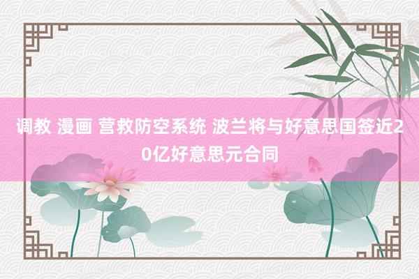 调教 漫画 营救防空系统 波兰将与好意思国签近20亿好意思元合同