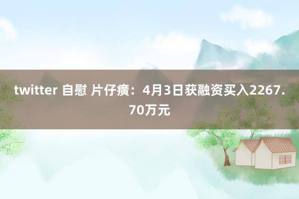 twitter 自慰 片仔癀：4月3日获融资买入2267.70万元