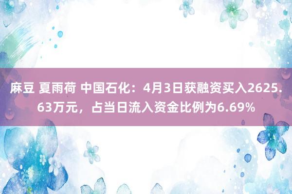 麻豆 夏雨荷 中国石化：4月3日获融资买入2625.63万元，占当日流入资金比例为6.69%